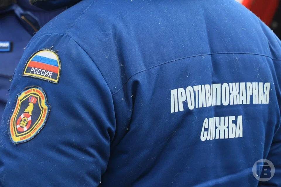    фото: Дмитрий Рогулин / "Городские вести"