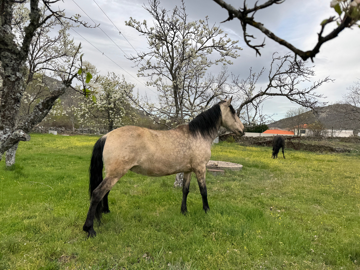 Вот в таком райском месте стояли Дарко и Марисоль
