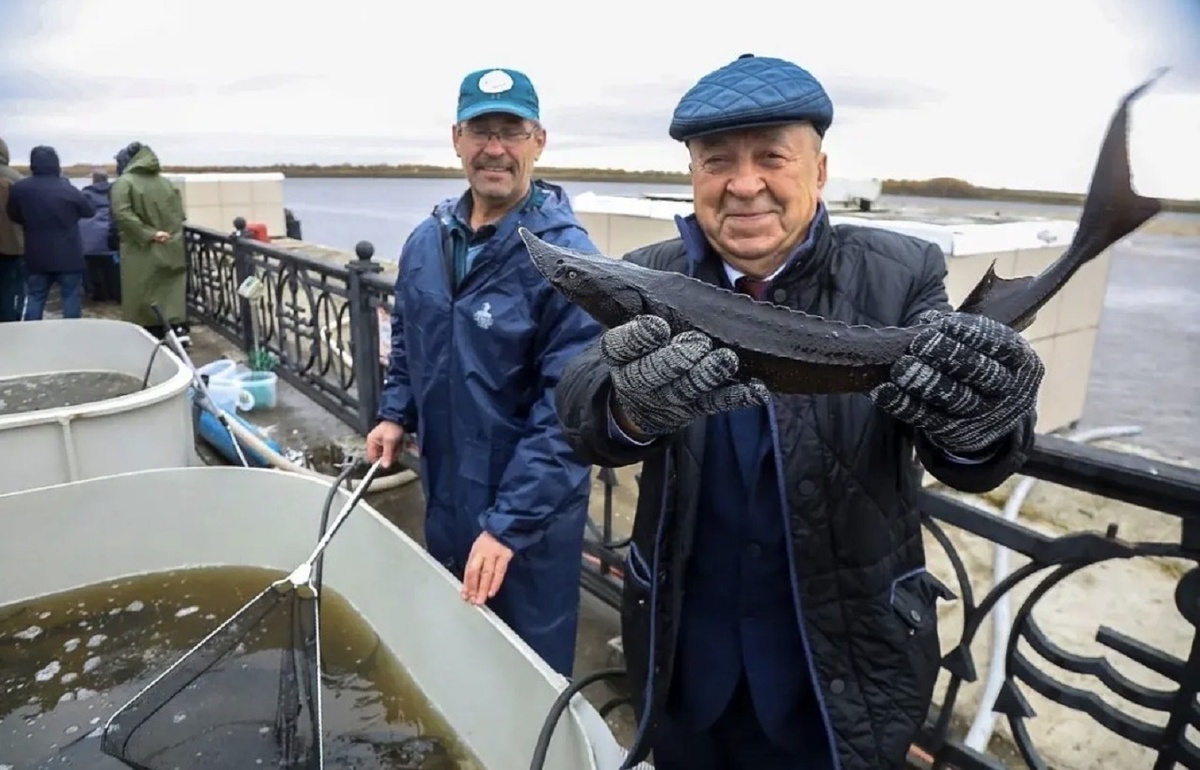    "Житейский вопрос" расскажет, как посадить кедр и вырастить осетра