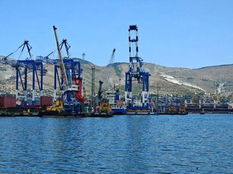    Фото: Юрий Серебренников/BFM Кубань