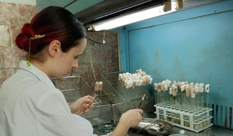    Фото: Филиал Россельхозцентра по Иркутской области