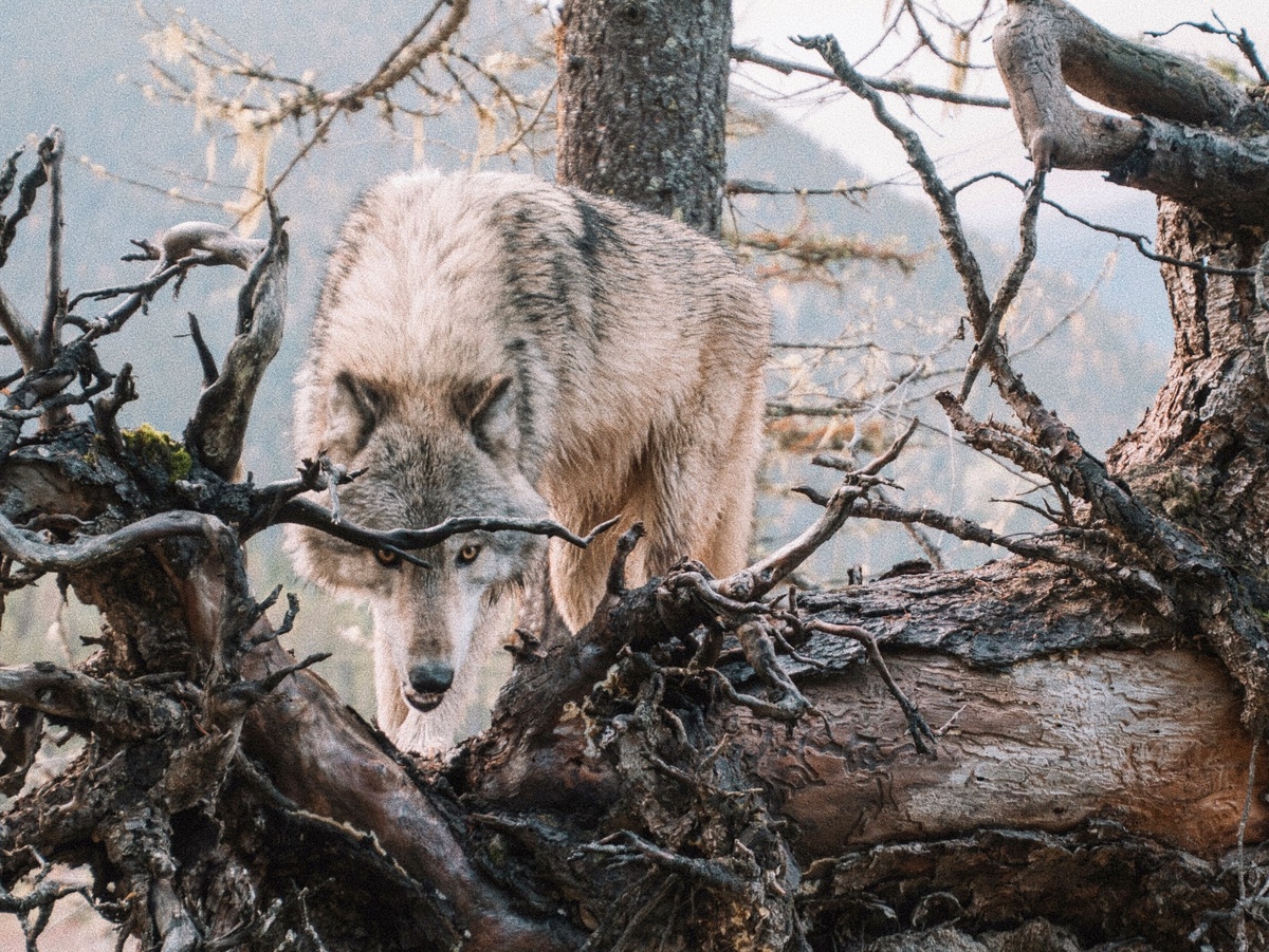 Фотография: Brianna R., Unsplash