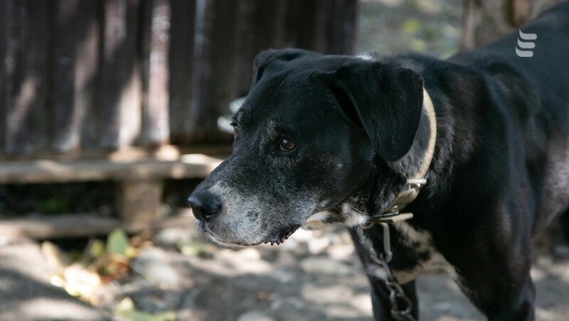      Фото: Валерия Алтухова / / ИА «Победа26»