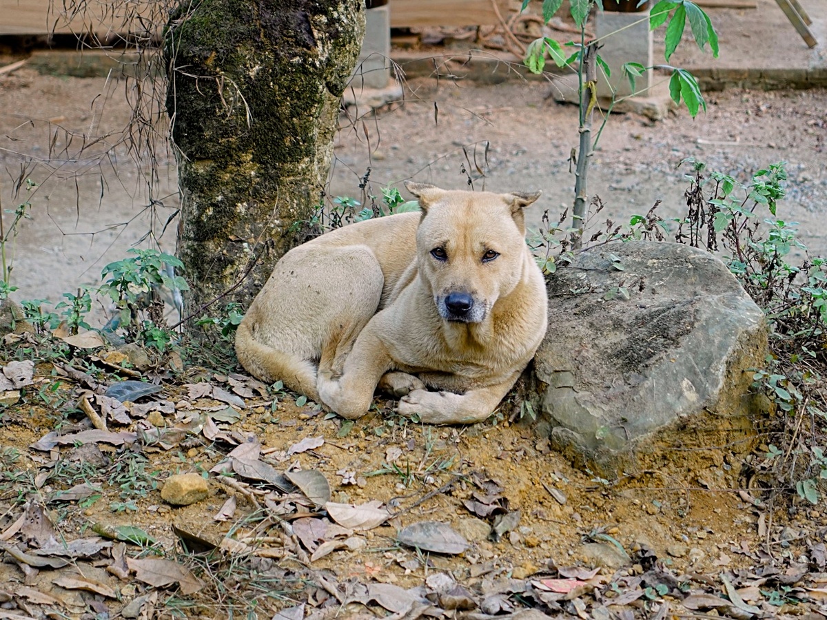 Фотография: Kounotori, Unsplash