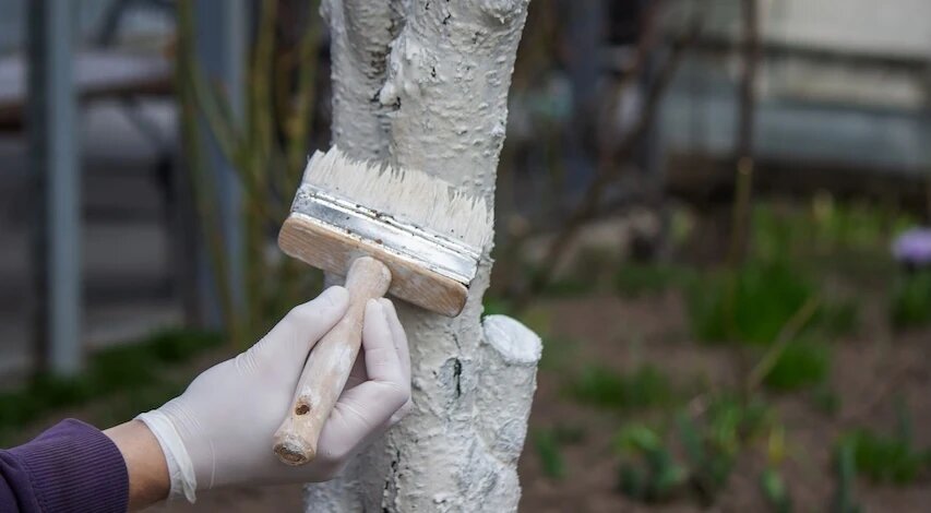 фото 123RF/anuta23