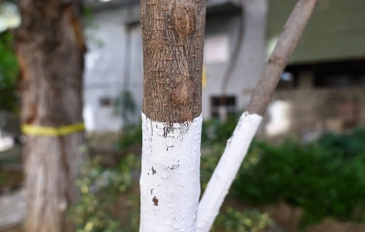 фото 123RF/jackreznor7