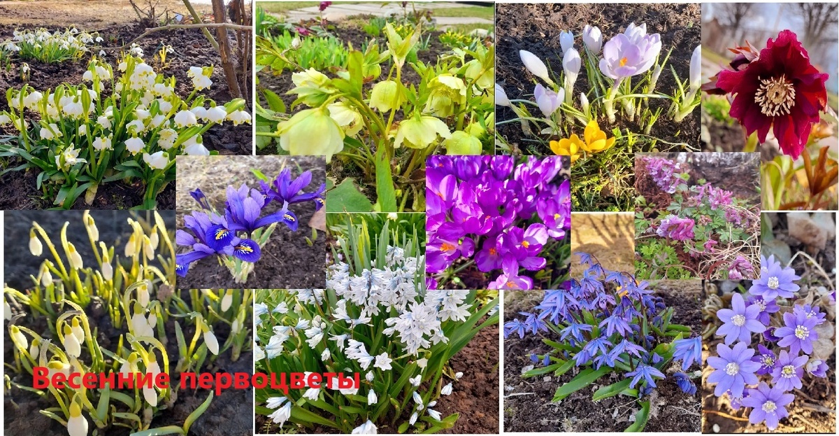 фото из личного архива