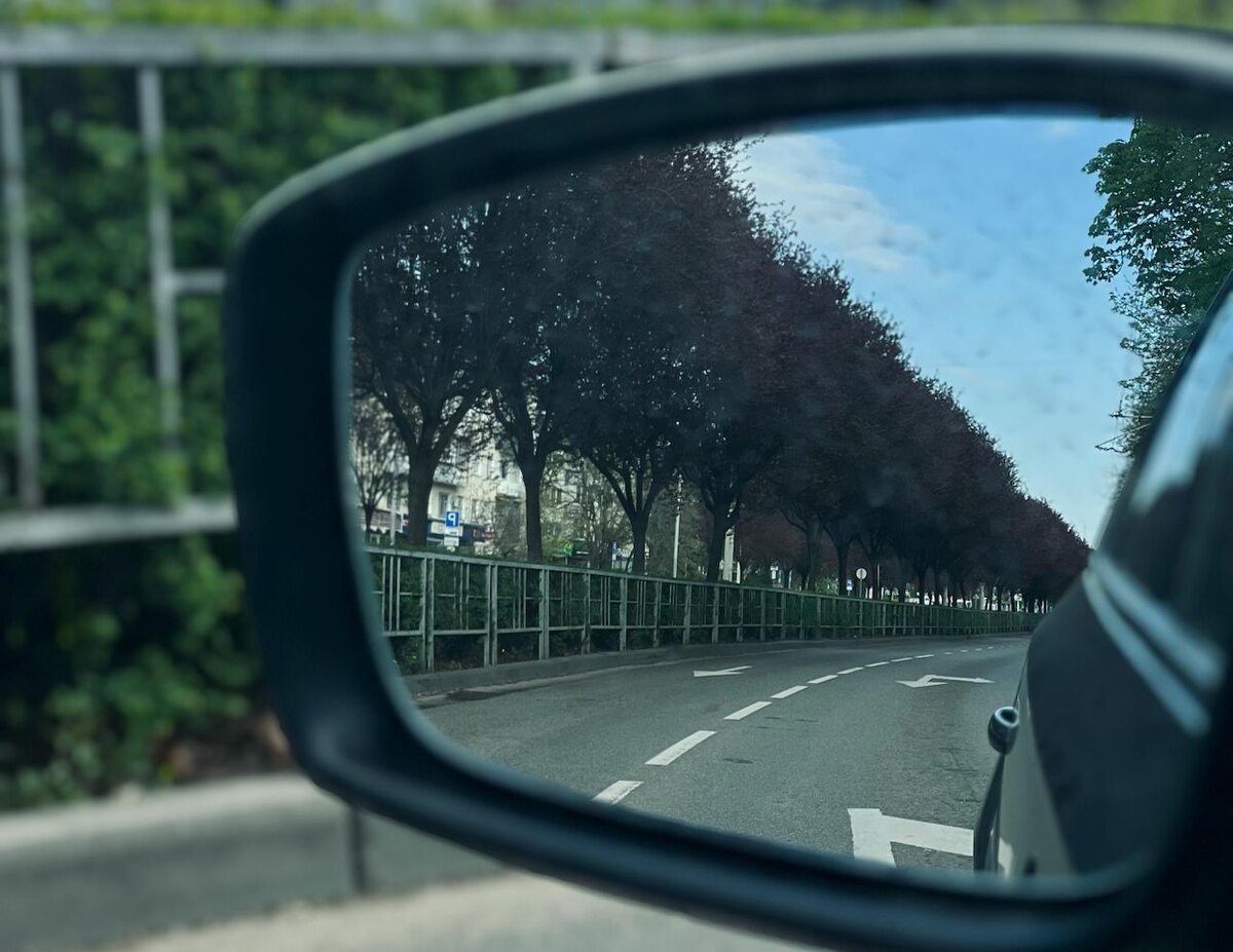 Фото: РБК Юг