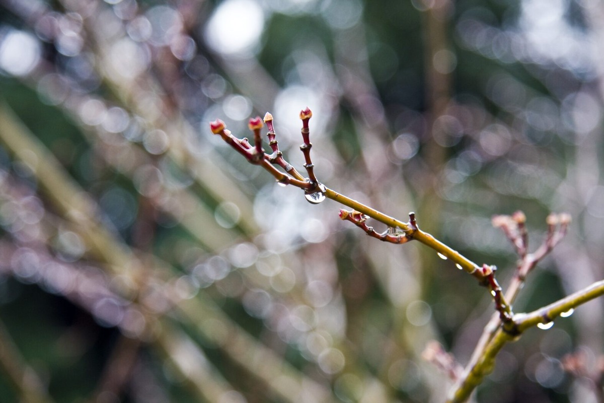    Фото: freepik. com