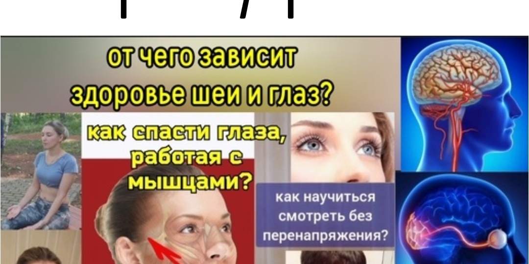Как укрепить сетчатку и роговицу глаз с помощью шеи и тазового дна? Комбинация упражнений