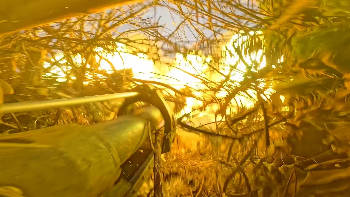    Минобороны РФ