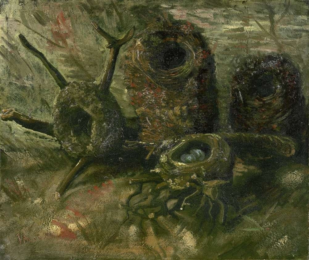 Винсент Ван Гог «Натюрморт с птичьими гнездами», 1885