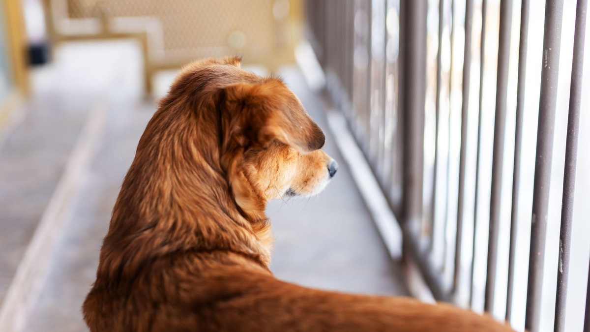    Решение стать волонтером — первый шаг к изменению жизней