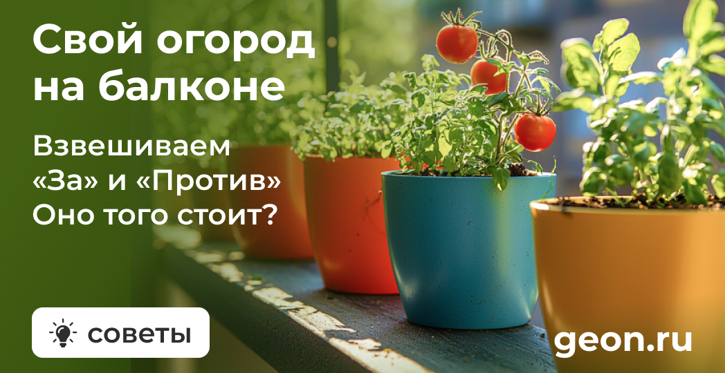 Балконный огород: головная боль или зелень круглый год?