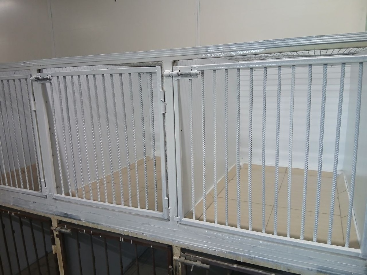 Новые клетки в вет.блоке приюта Ананда