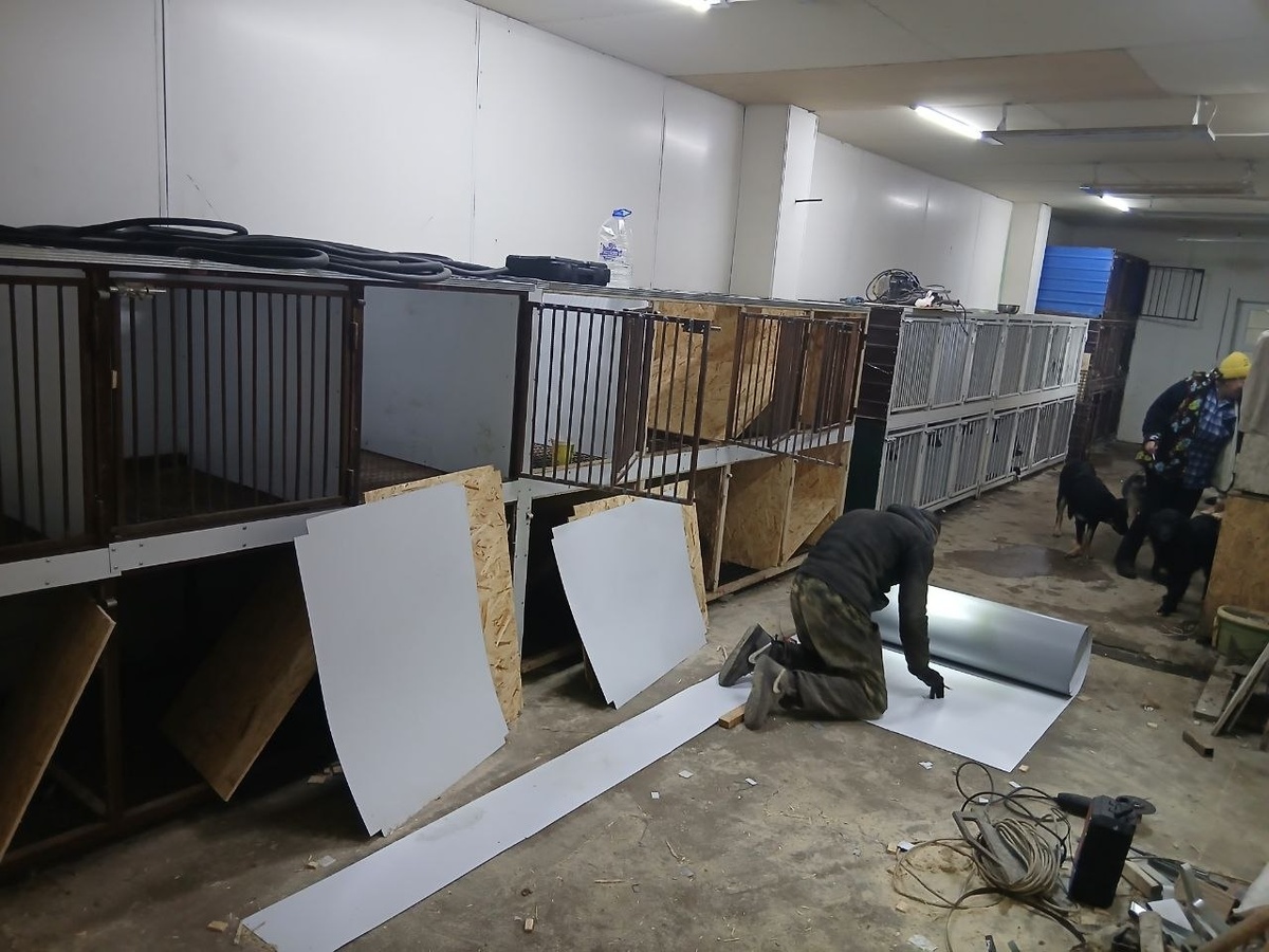 Ремонтные работы в вет.блоке приюта Ананда