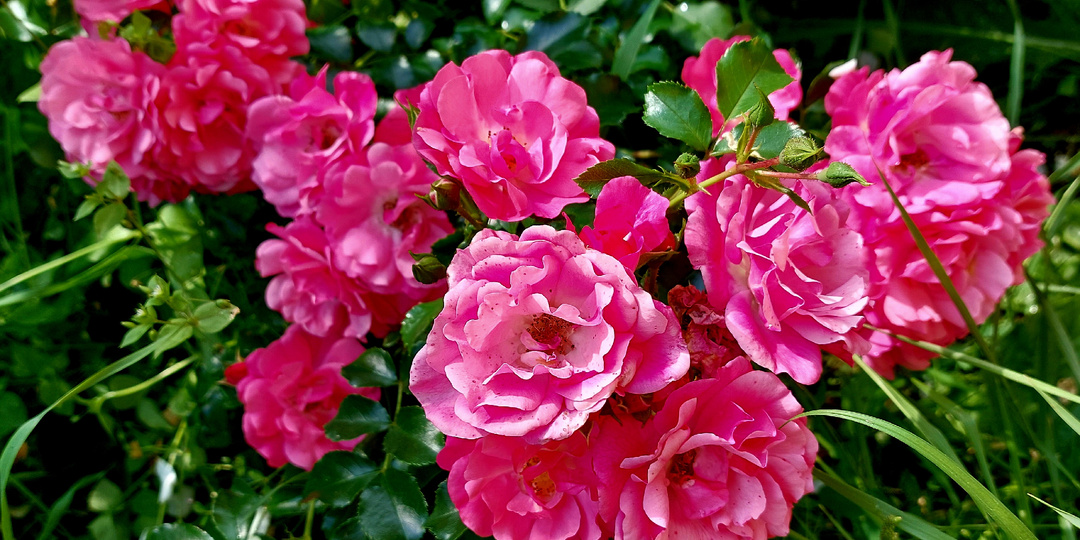 Мне тоже есть что прокомментировать