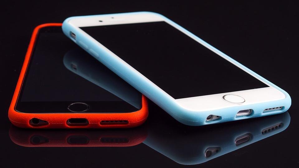    Фото: pixabay.com