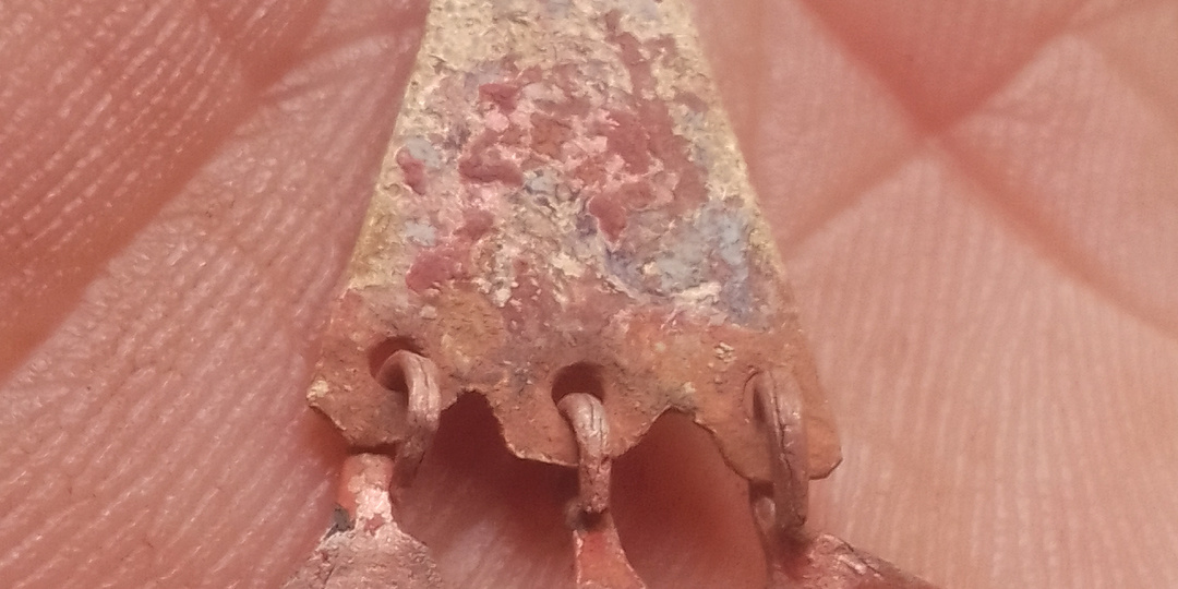 Дары лесной поляны