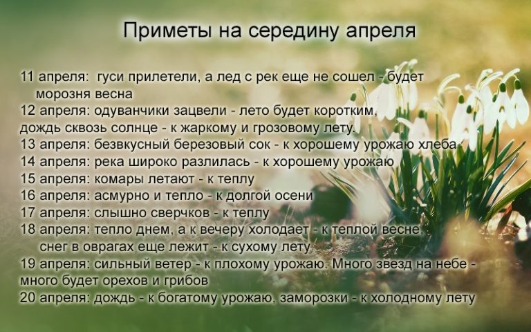 свобод.источник