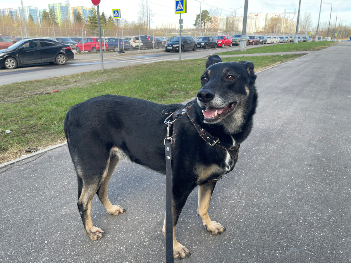 Так, ну это я просто на улице гуляю 😁