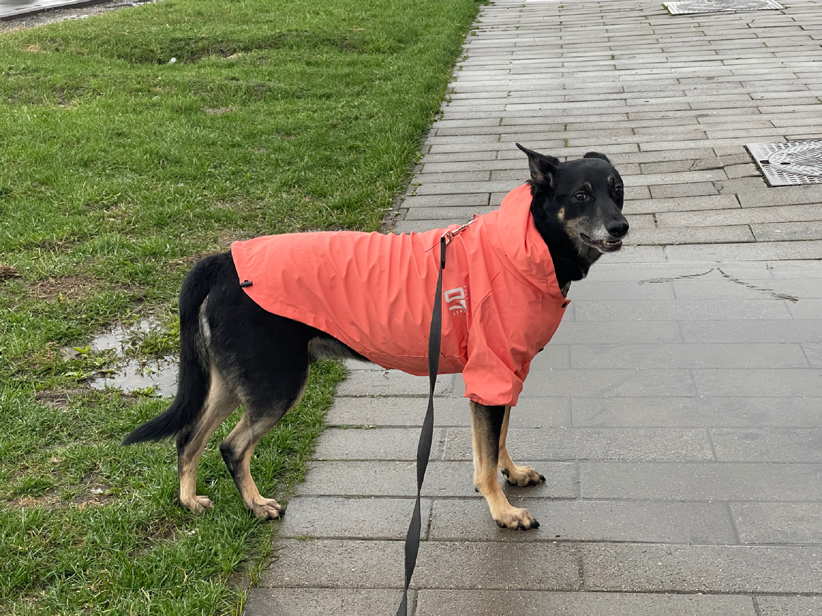 Правда... Раньше капюшон налезал мне на голову, а теперь — нет 😂!