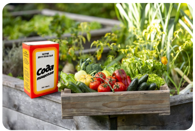 пищевая сода