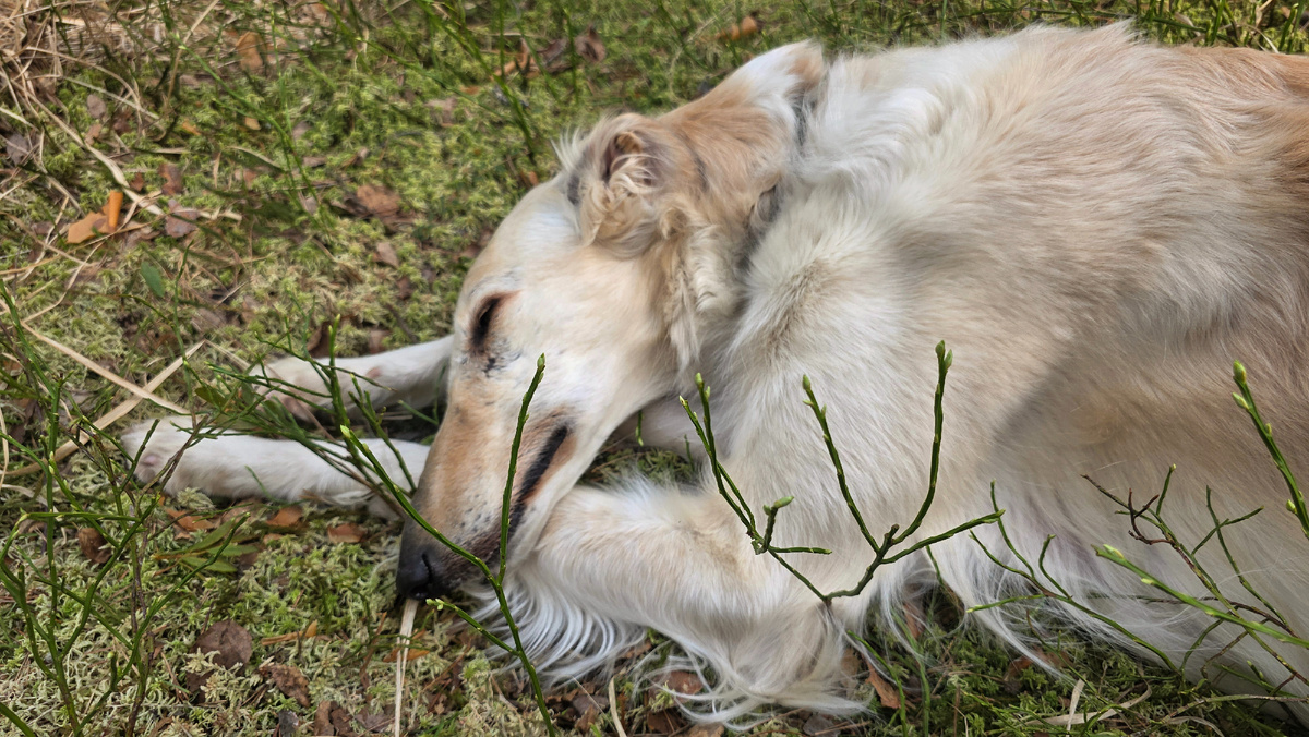 Первый день с нами