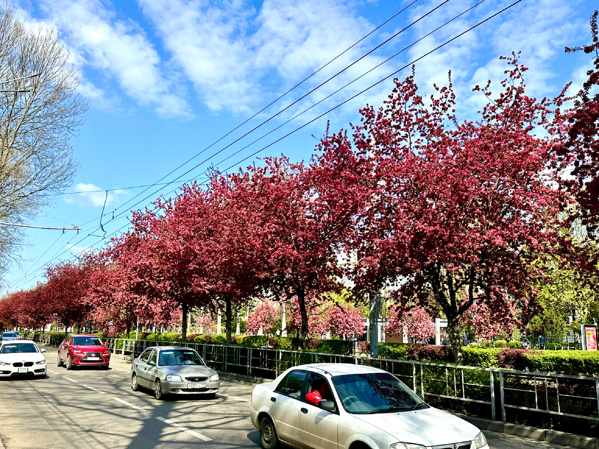 Ставропольская.