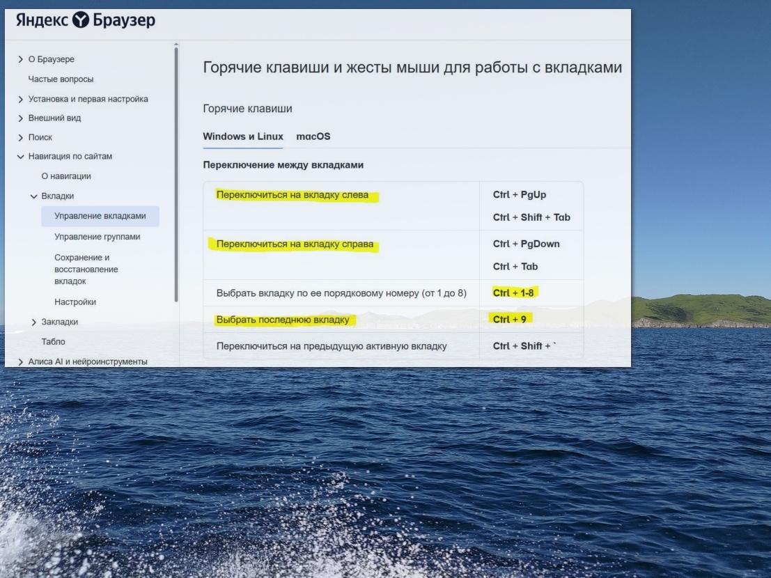 Текст из справки на фоне фото афтора.