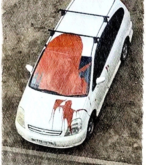 Проверка на вшивость