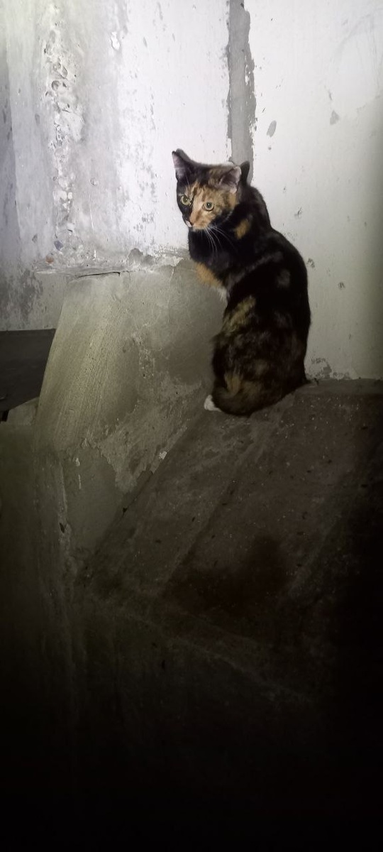 Апрелька на балконе