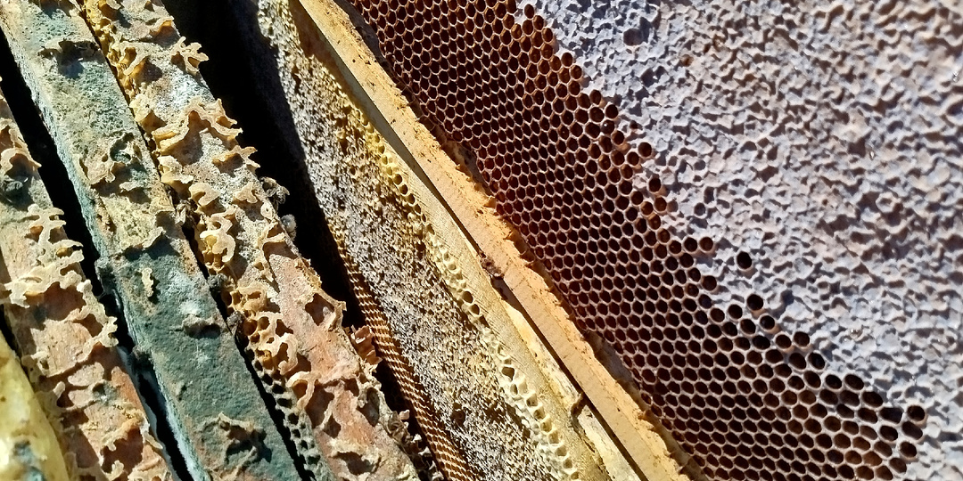 Пришла и к нам весна. Переезд в деревню.