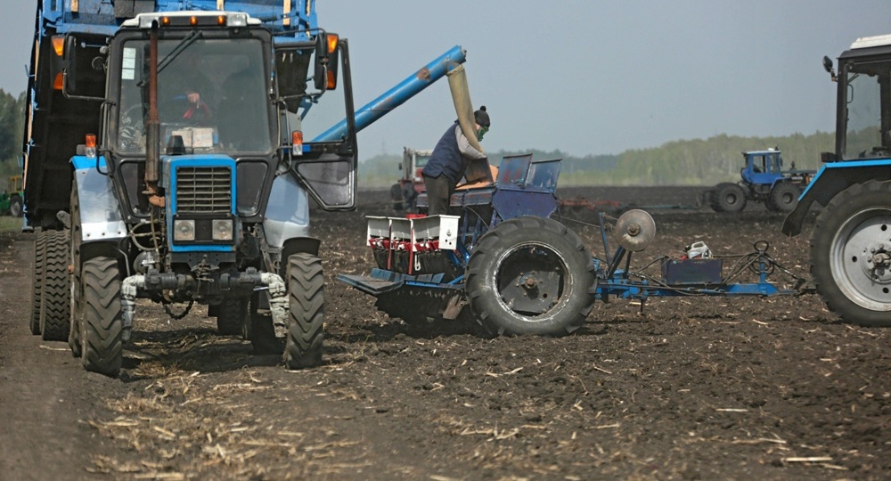 В Зауралье фермеры стали закрывать хозяйства из-за бюрократии