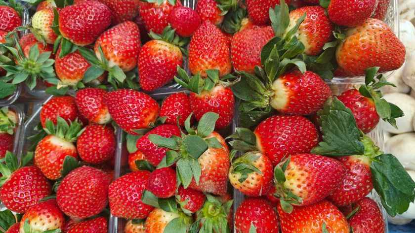    Первый городской канал Калининград