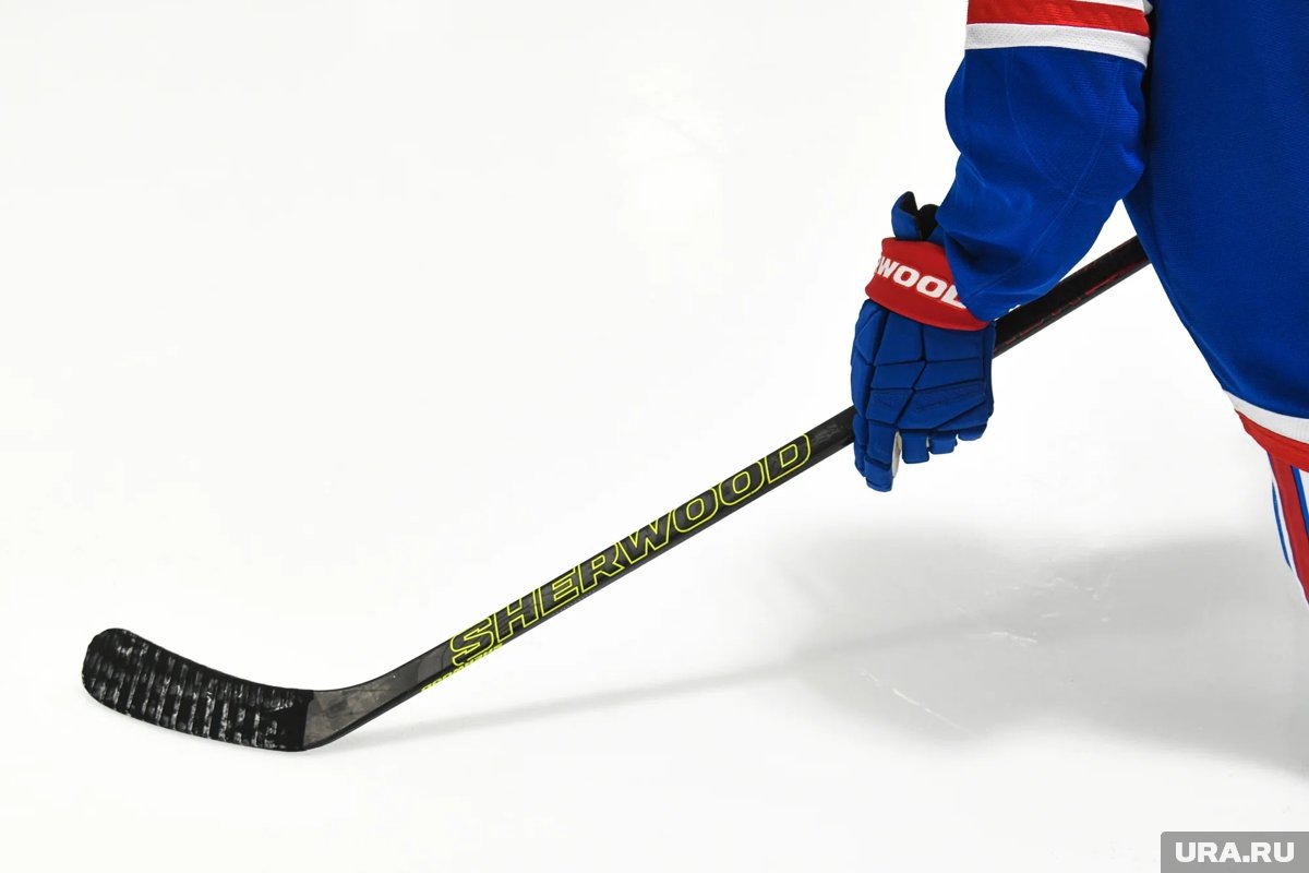     Определились все участники плей-офф НХЛ-2026