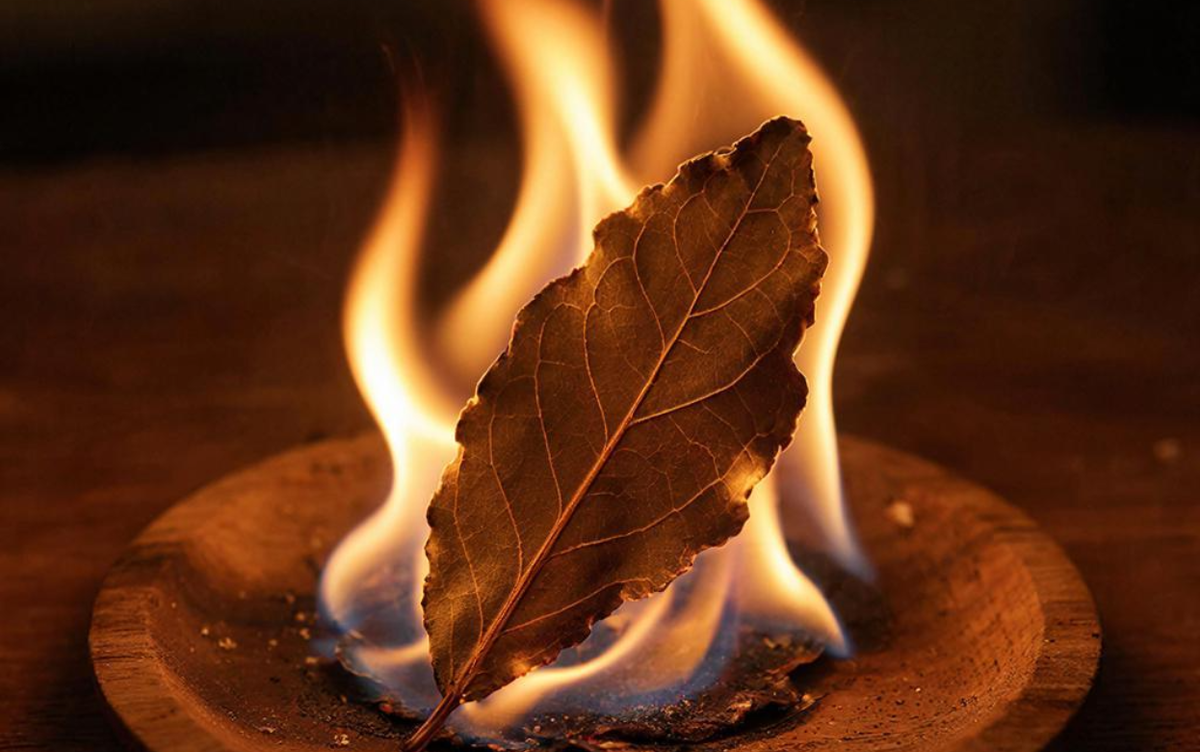    Поджигаю лавровый лист в квартире каждый апрель: старинный ритуал, который завирусился