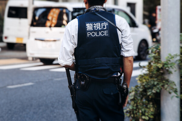 Shutterstock/FOTODOM   📷