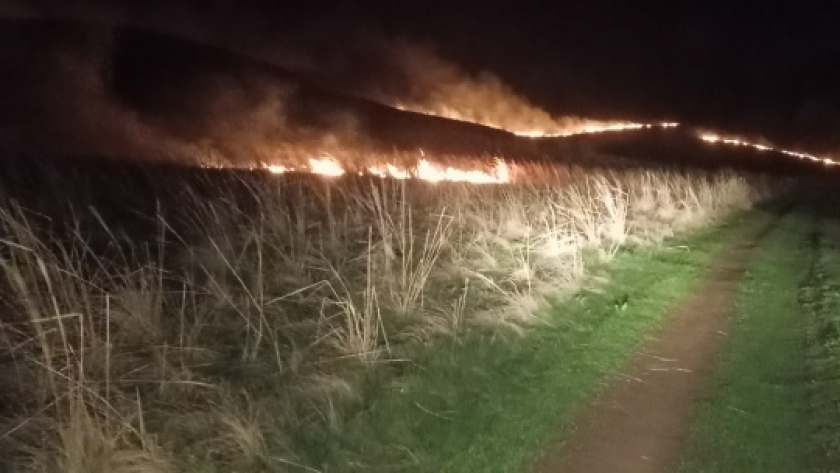    Департамент ПБ и ГЗ Оренбургской области