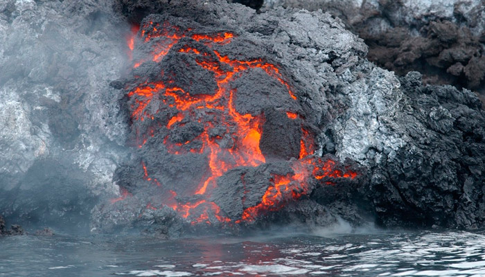 Фото: pxhere.com