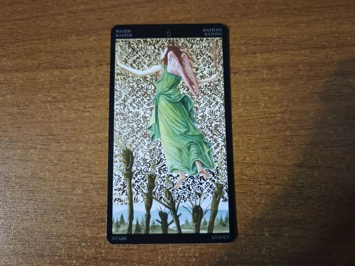 Карта Таро 6 Жезлов