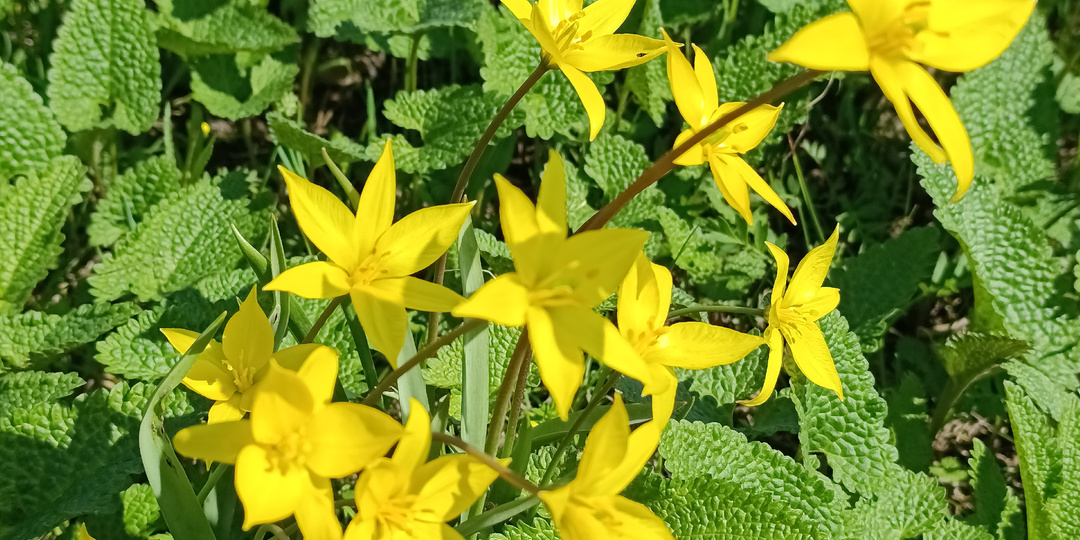 Пришла ли весна в Поволжье?
