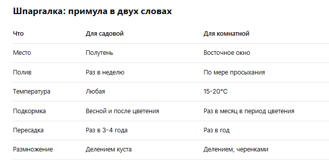 описание примулы