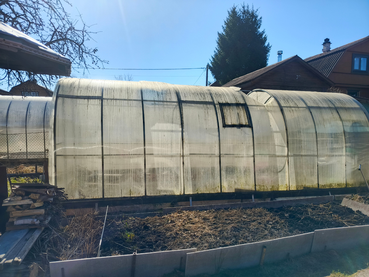 старый поликарбонат на теплице