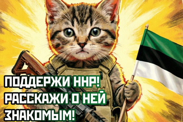    Иллюстрация из паблика «Нарвская Народная Республика | ННР» в ВК / narvarepublic/vk.com