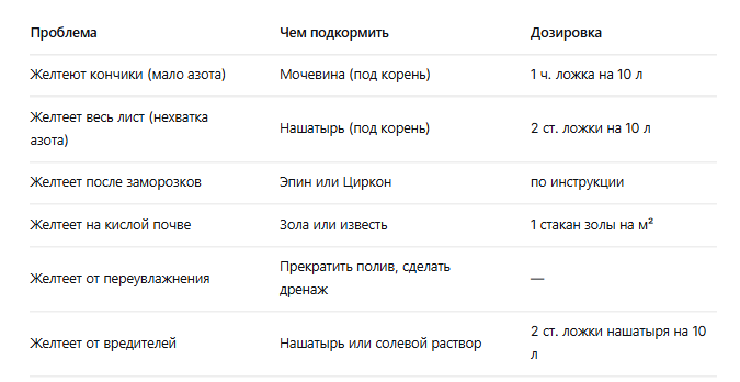 чем подкормить чеснок весной