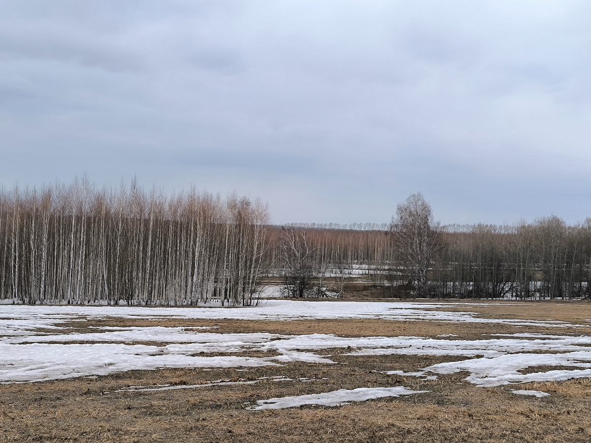 Пока что не очень весёлая обстановочка