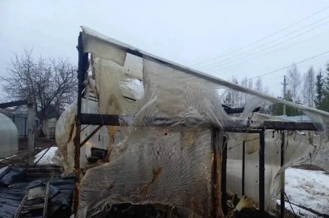    Фото с места пожара, на котором котёнок спас хозяйку. Фото: МЧС Удмуртии