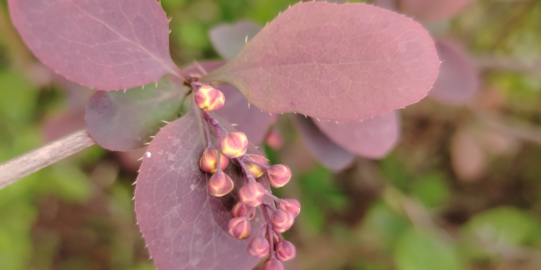 Золофт, восьмая неделя приёма.