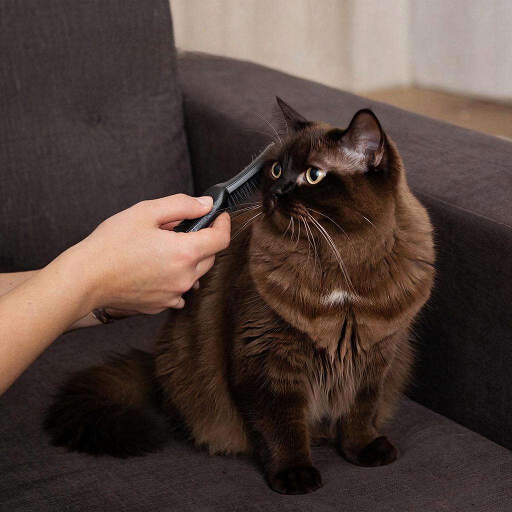  Что делать, если кот линяет круглый год? 5 причин постоянной линьки: от питания до стресса. Как уменьшить количество шерсти в доме и когда пора к врачу. Читайте в блоге «Жизнь с лапками» 🐱🧹